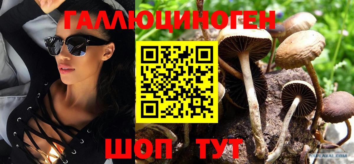 Сосновоборск  Псилоцибиновые грибы Magic Shrooms  Вход с VPN 