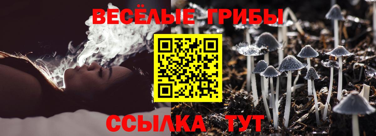 Псилоцибиновые грибы GOLDEN TEACHER Сосновоборск